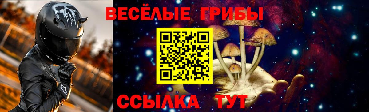 Псилоцибиновые грибы GOLDEN TEACHER  Вход с VPN  Псилоцибиновые грибы мицелий  Междуреченск 